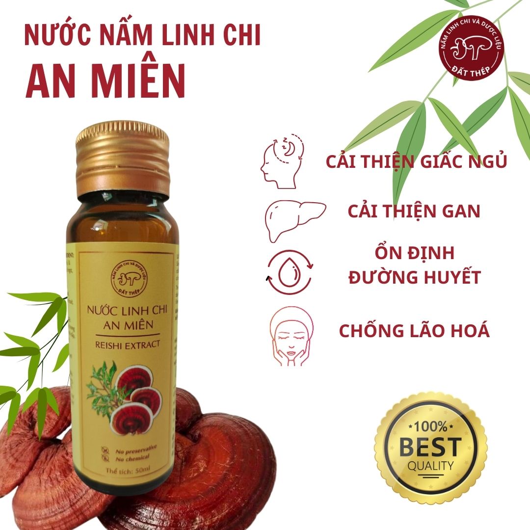 Nước Linh Chi An Miên