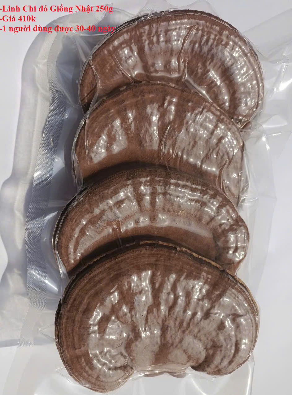 Linh Chi Đỏ giống Nhật nguyên tai 250g