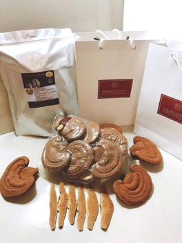 Linh Chi Đỏ giống Nhật nguyên tai 500g