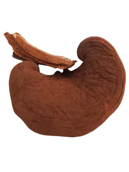 Nấm linh chi đỏ giống Việt cắt lát 250g